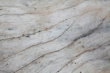 Gray wood ocean driftwood background texture, smooth beach wood © catahula