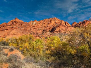 Autumn on the Trail at Red Cliffs National Conservation Area Near St. George Utah.
