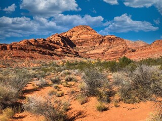Autumn on the Trail at Red Cliffs National Conservation Area Near St. George Utah.