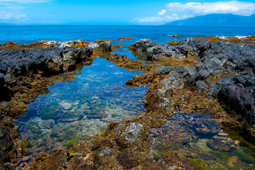 Tide Pools in Lava Shoreline, Maui, Hawaii