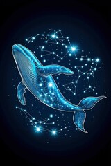 Whale Constellation