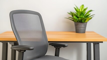 Modern Office Desk with Mesh Chair and Green Plant