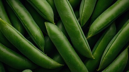 Green Pea Pods Close Up   Fresh  Organic  Healthy Food Texture