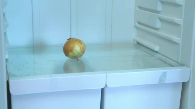 A lone onion sits on a glass shelf inside an otherwise empty refrigerator, isolation and minimalism in food storage.