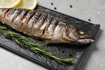 Delicious grilled mackerel, rosemary, lemon and peppercorns on grey table, closeup