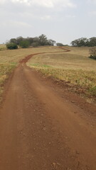 Estra rural por entre plantação de aveia colhida.