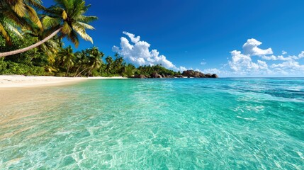 Fototapeta premium Tropical Beach Paradise Seychelles Island Clear Water Palm Trees White Sand Ocean Bl