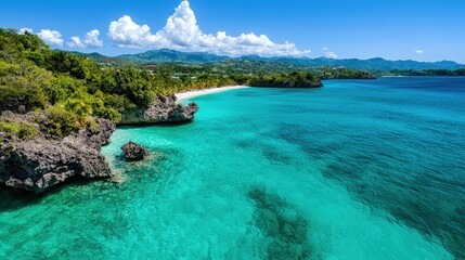 Fototapeta premium Caribbean Sea Coastline with Lush Greenery and Crystal Clear Water