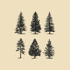 Obraz premium set of pine tree engraving style vintage design vector illustration
