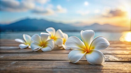Fototapeta premium A panoramic capture of white plumeria flower petals scattered across a vacant wooden floor, set against a pristine background for an elegant, serene aesthetic.