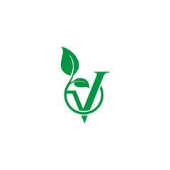 letter V and leaf vector illustration for icon, symbol or logo. V initials logo. vegetarian logo