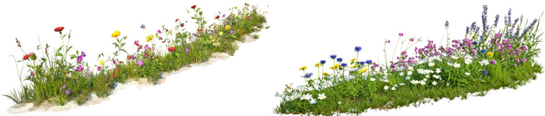 Obraz premium Colorful wildflower arrangement on a white isolate background.