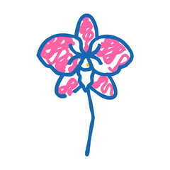 orchid aroma flower doodle icon sketch vector. orchid aroma flower sign. isolated symbol illustration