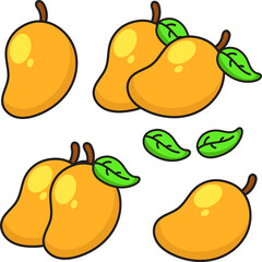 Vector mango fruit illustration design