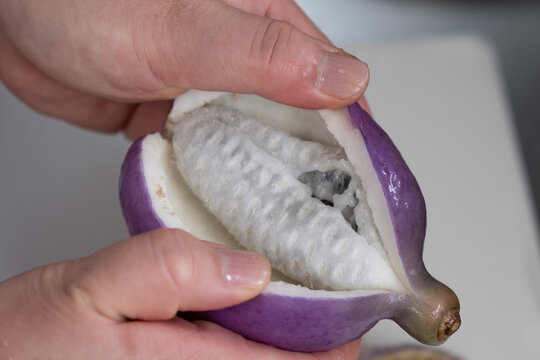 山形の郷土料理 あけびの肉みそ詰めの調理過程〜皮を開きタネを取り出す
