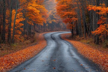 Obraz premium A Tranquil Autumn Journey Through Vibrant Foliage into a Peaceful Forest Landscape