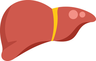Simple vector illustration of a human liver with cirrhosis