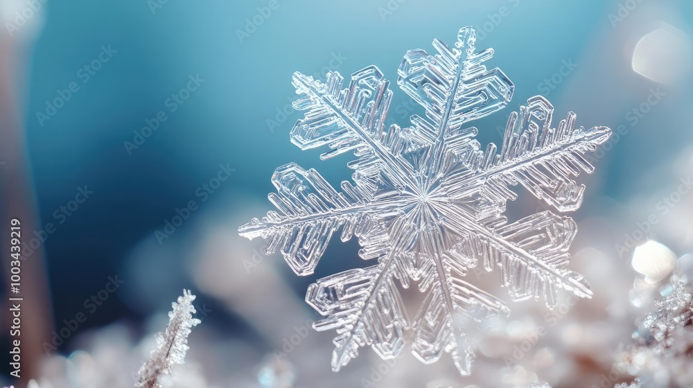 Poster close-up of a delicate snowflake resting on frost, showcasing intricate patterns and the beauty of w