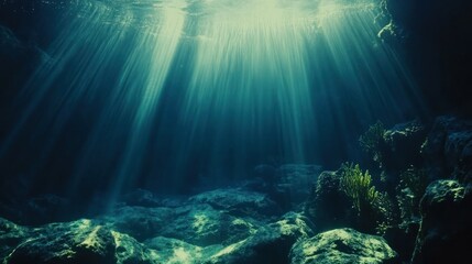 Fototapeta premium Serene Underwater Rays with Lush Greenery
