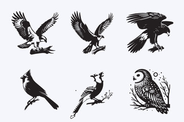Creative 6 Birds silhouette vector style with white background