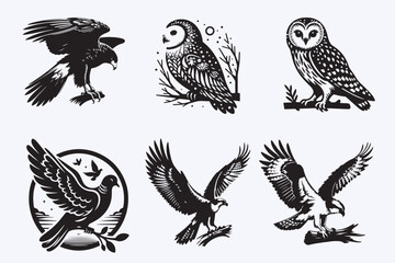 Creative 6 Birds silhouette vector style with white background