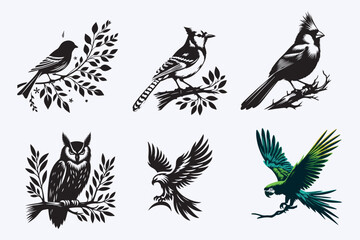 Creative 6 Birds silhouette vector style with white background