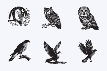 Creative 6 Birds silhouette vector style with white background