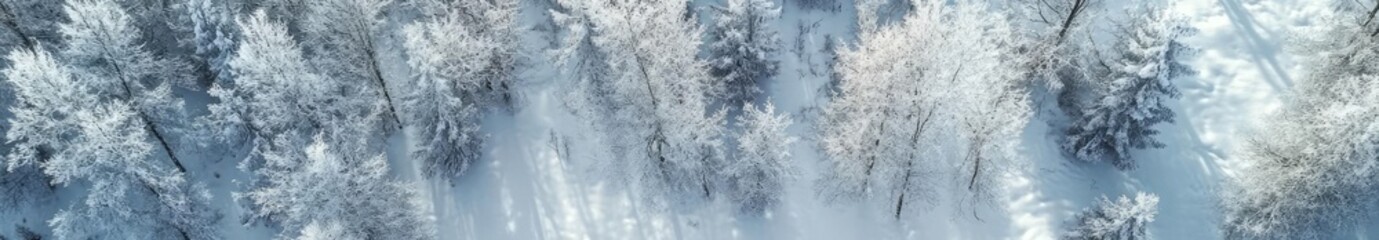 Obraz premium A breathtaking aerial view of reindeer in a snowy landscape, showcasing nature's beauty in a winter wonderland.