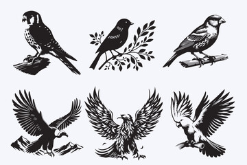 Creative 6 Birds silhouette vector style with white background