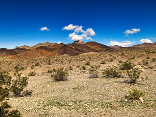Late Winter in Death Valley National Park in California.