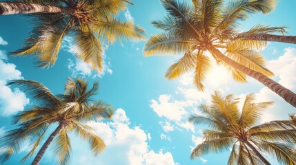 Tropical Palm Trees with Blue Sky and Clouds