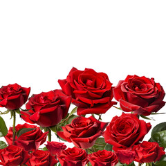 A bouquet of beautiful red roses, perfect for weddings, Valentine's Day, or romantic celebrations, symbolizing love and beauty with vibrant floral blooms