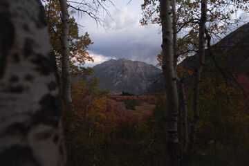 Morning Buffalo Peak