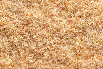 Detailed close-up of light wood shavings, perfect for use as a natural background or texture.