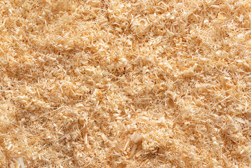 Detailed close-up of light wood shavings, perfect for use as a natural background or texture.