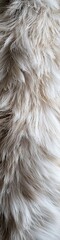 Fototapeta premium Soft white fur texture