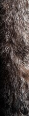 Fototapeta premium Soft, brown fur texture