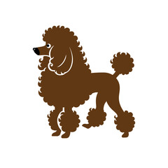 Poodle Dog Run in front for looking other dog vector