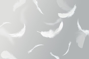 Abstract White Feathers Falling in The Sky. Fluffy Downy, Softness of Feathers floating in Heavenly. Feathers on Gray Background.	
