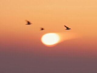 Fototapeta premium Birds fly into sunset