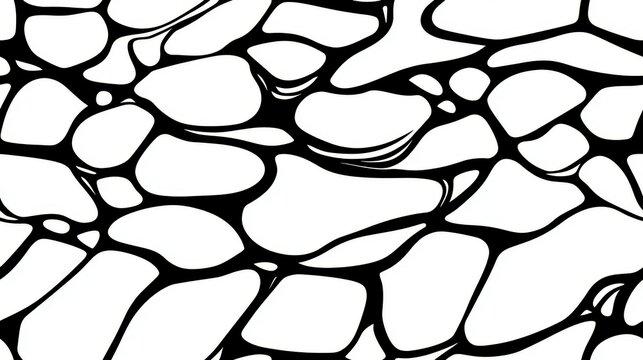 A sleek vector graphic featuring a stunning black and white stone texture, enhanced with fine line detailing.