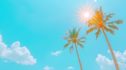 Obraz premium Blue Sky and Palm Trees Under Bright Sunlight