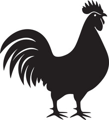 rooster isolated on white background