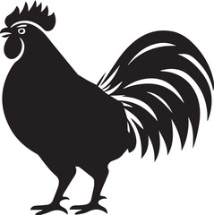 rooster isolated on white background