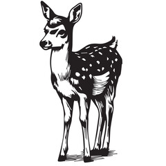 Deer line art vector illustration