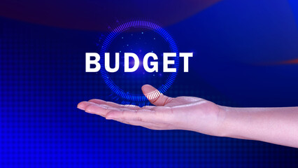 Budget Financial planning and management concept, Company budget allocation for business project management, Effective and smart budgeting, BUDGET concept.