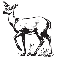 Deer line art vector illustration