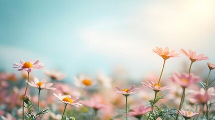 Serene Floral Field Under Soft Blue Sky