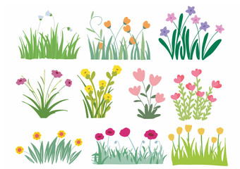 hand drawn Illustration of nature flower spring and summer in garden. isolated in white © Sigit Dwi Pambudi