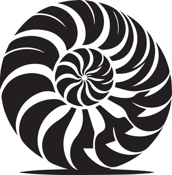 recommend clip art: Paper Nautilus silhouette vector and logo black and white